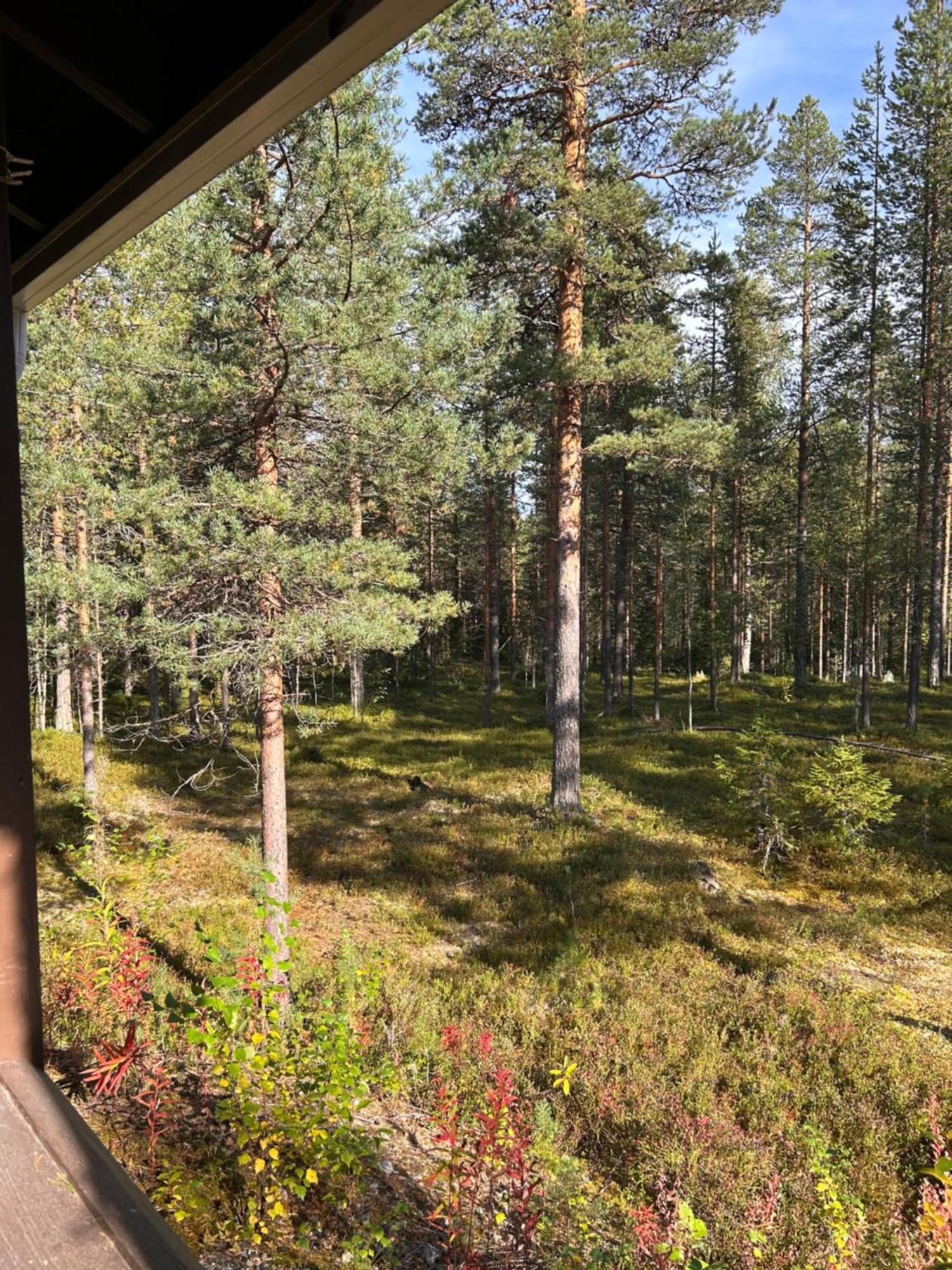 Unelmasaeleikkoe 2 Kittilä Eksteriør bilde